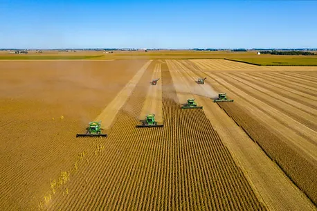 Aerial view of combine harvesters working large agricultural fields at scale